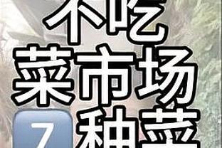 高效输出难救主！约基奇填满数据栏 13投9中空砍22分6板12助2断